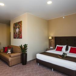 Номер полулюкс с 1 двуспальной кроватью