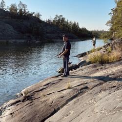 Фото Отель Гостевой комплекс Сосны