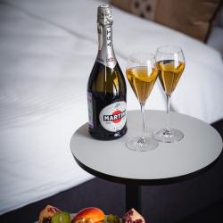 Фото Opera Wellness Hotel (Опера Велнесс Отель)