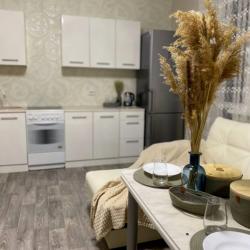 Апартаменты студия 203