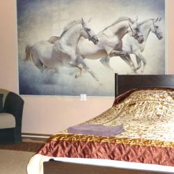 Фото Отель Жара