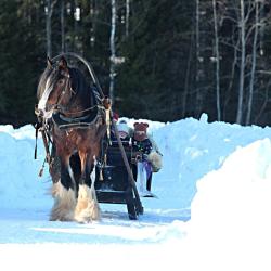 Фото Отель Дом Дракона в Яви-Нави
