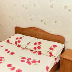 Комната стандарт с 1 двуспальной кроватью (общие удобства)