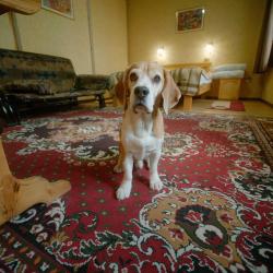 Фото Отель Алаколь