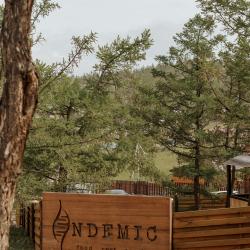 Фото Отель Endemic (Эндемик)