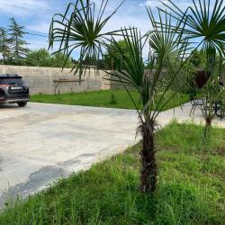 Фото Отель Гостевой дом Ангел