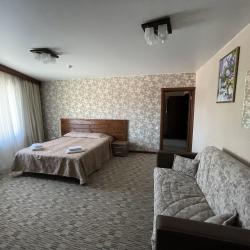 Номер полулюкс с 1 двуспальной кроватью
