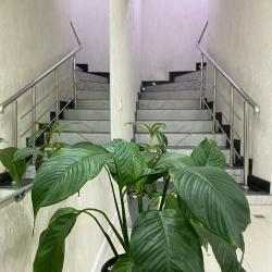Фото Отель Сокол