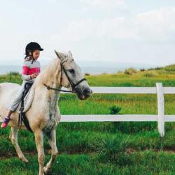 Фото Отель Большой Плёс