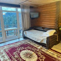 Фото Отель Arkhyz Palace ( Палас)