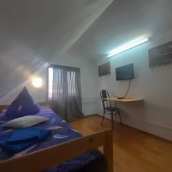 1-местный номер эконом