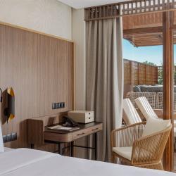 Номер люкс с 1 двуспальной кроватью и террасой