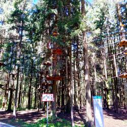 Фото Апартаменты на улице Северная 57