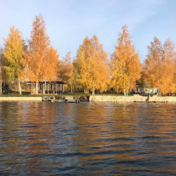 Фото Отель Гостевой дом Садко