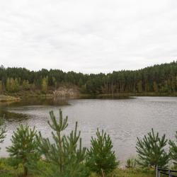 Фото Отель ForRest (Форест)