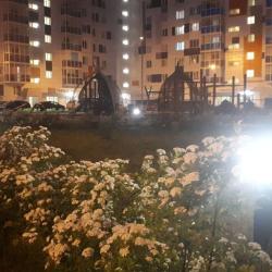 1-комнатные апартаменты стандарт