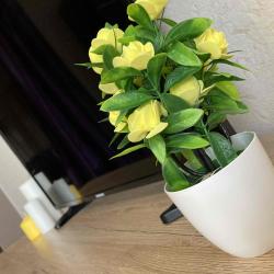 1-комнатные апартаменты стандарт