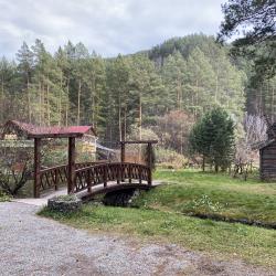 Фото Отель Деревня Берендеевка