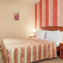 Номер бизнес с 1 двуспальной кроватью