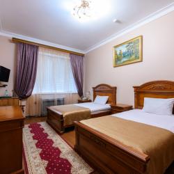 Номер стандарт эконом с 2 односпальными кроватями