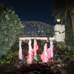 Фото Отель Страна магнолий