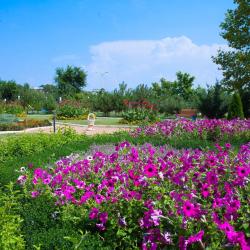 Фото Отель Сакрополь