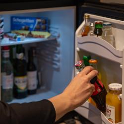 Фото Отель Hayasa Hotel Yerevan (Хаяса )