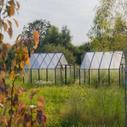 Фото Отель Мятный сад