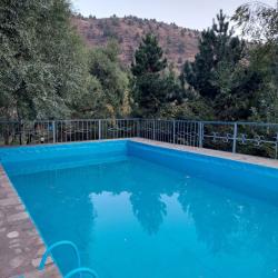 Фото Отель Eagle Rock (Игл Рок)