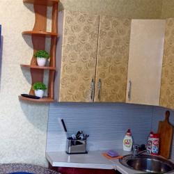 Фото Апартаменты на улице Курыжова 19