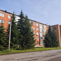 1-комнатные апартаменты улучшенные ул.Мира 1