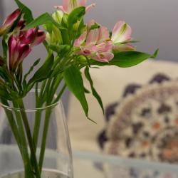 Фото Апартаменты на улице Венская 4 корпус 2