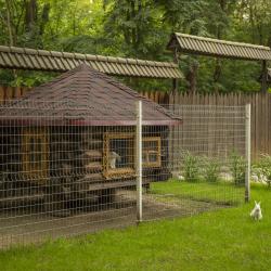 Фото Отель Сосновый бор