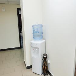 Фото Отель Гостиный двор На прудах