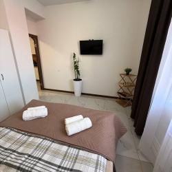 Номер студия с 1 двуспальной кроватью