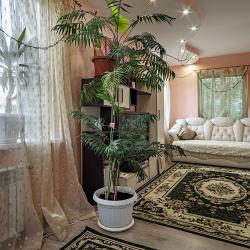 Фото Отель Elite Apartments на Лесной 4