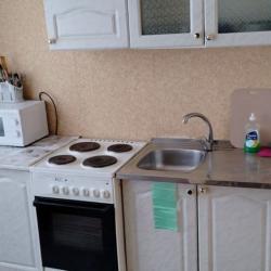 Фото Апартаменты на улице Гагарина 13