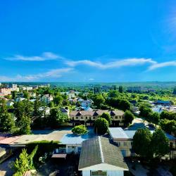 1-комнатные апартаменты улучшенные