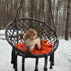 Фото Отель Сова