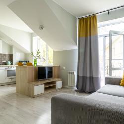 1-комнатные апартаменты стандарт (мансарда)