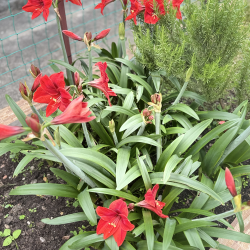 Фото Отель Тихое море