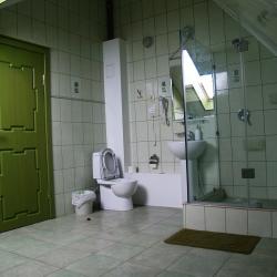 Фото Отель Вилла Застава