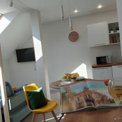 1-комнатные апартаменты студия (мансарда)