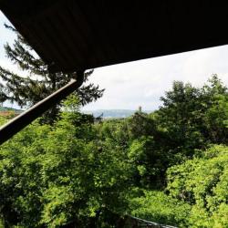 Фото Отель Золотой Гусь