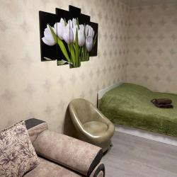 Фото Апартаменты на проспекте Ленина 13