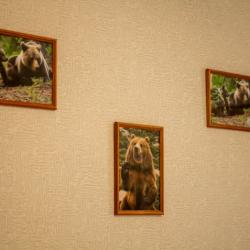 Номер полулюкс с 2 односпальными кроватями