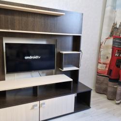 1-комнатные апартаменты студия Бурнаковская 83-100
