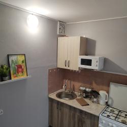 Фото Апартаменты на улице Оломоуцкая 30