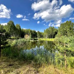 Фото Отель Загородный коттедж