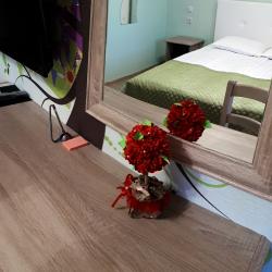 Комната стандарт с 1 двуспальной кроватью Июль (с завтраком)